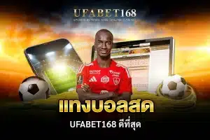 แทงบอล